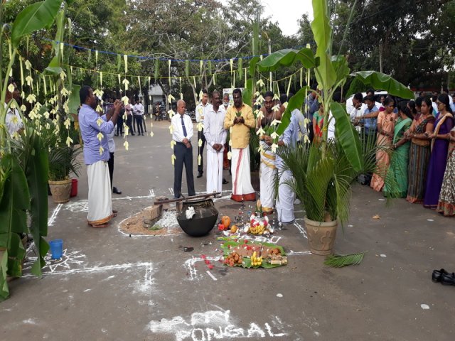 Thaipongal Festival_16.01.2019